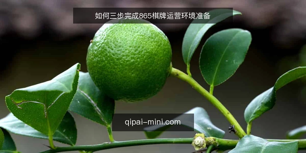 如何三步完成865棋牌运营环境准备 — 基线核查:确认基础条件 配图