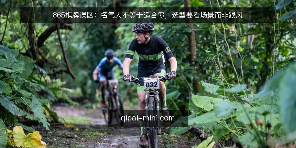 865棋牌误区：名气大不等于适合你，选型要看场景而非跟风 — 引言：名气大不等于适合你 配图