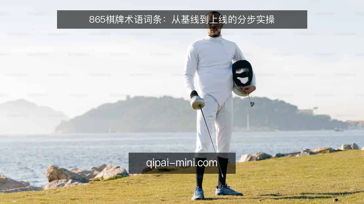865棋牌术语词条：从基线到上线的分步实操